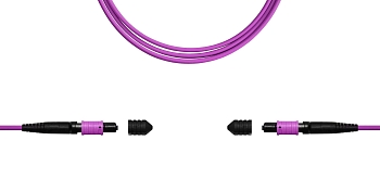 Сборка кабельная TopLan MPO-MPO, 12 волокон OM4, тип B (Key Up-Key Up), низкие потери, LSZH, 25 м, розовая